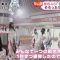 230926 Sakurazaka46’s TV News – Oha!4 & THE TIME – HD.mp4-00005