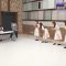 230930 Nogizaka Otameshi-chuu – HD.mp4-00002