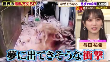 231005 Tanoshiku Manabu! Sekai Douga News – Nogizaka46 Yoda Yuki – HD.mp4-00003