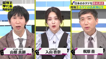 231011 Nikkei Special 60-byou de Manaberu News – ex-AKB48 Iriyama Anna – HD.mp4-00009