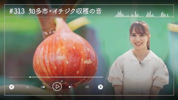 231016 Nogizaka46 Sato Kaede Neiroisan ~Aichi 69-shiku Chouson no Oto Atsume~ 313 – Nogizaka46 Sato Kaede – HD