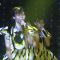 231031 NMB48 Theater Performance 1845 – HD.mp4