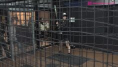 231118 Shin YNN NMB48 CHANNEL – GSGK8 Genchi Shuugou Genchi Kaisan 3 – FHD.mp4-00001