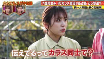 231130 THE Toppa File – Nogizaka46 Umezawa Minami & ex-HKT48 Yabuki Nako – HD.mp4-00002