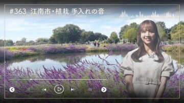 231213 Nogizaka46 Sato Kaede Neiroisan ~Aichi 69-shiku Chouson no Oto Atsume~ 363 – Nogizaka46 Sato Kaede – HD