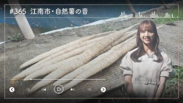 231215 Nogizaka46 Sato Kaede Neiroisan ~Aichi 69-shiku Chouson no Oto Atsume~ 365 – Nogizaka46 Sato Kaede – HD