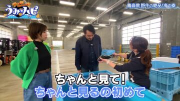 231219 Umi Hapi – ex-AKB48 Oya Shizuka – HD.mp4-00017