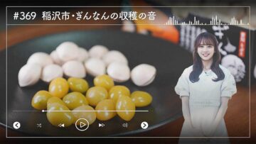 231220 Nogizaka46 Sato Kaede Neiroisan ~Aichi 69-shiku Chouson no Oto Atsume~ 369 – Nogizaka46 Sato Kaede – HD