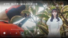 231221 Nogizaka46 Sato Kaede Neiroisan ~Aichi 69-shiku Chouson no Oto Atsume~ 370 – Nogizaka46 Sato Kaede – HD