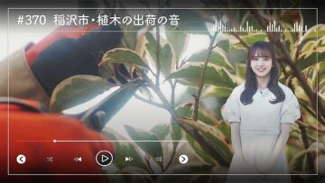 231221 Nogizaka46 Sato Kaede Neiroisan ~Aichi 69-shiku Chouson no Oto Atsume~ 370 – Nogizaka46 Sato Kaede – HD