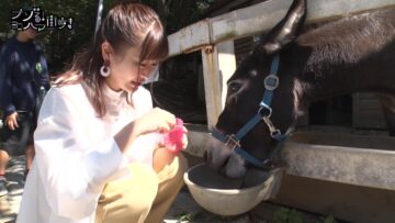 240106 Nazoru! Yokohama Machi Aruki – ex-Nogizaka46 Ito Karin – HD.mp4-00003