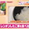 240115 Hirunandesu! – ex-Nogizaka46 Matsumura Sayuri – HD.mp4-00002