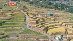 24012- Hashiru Besso! Kuruma Nakadomari no Tabi – ex-AKB48 Sato Akari – HD.mp4-00003