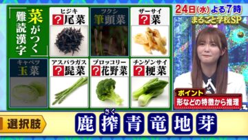 240121 Cream Quiz Miracle 9 Masterpiece Selection – ex-AKB48 Oya Shizuka – HD.mp4-00002