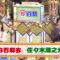 240121 Nanikore Chin Hyakkei 2Hours SP – ex-Nogizaka46 Shiraishi Mai – HD.mp4-00001