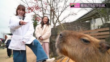 240121 Viewty Drive – ex-AKB48 Itano Tomomi & ex-SKE48 Miyazawa Sae – HD.mp4-00002