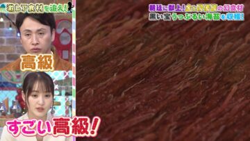 240202 Tokoro-san no Sokon Tokoro – ex-Sakurazaka46 Sugai Yuuka – HD.mp4-00002