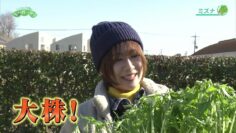 240204 Syumi no Engei Yasai no Jikan – ex-AKB48 Oya Shizuka – HD.mp4-00001