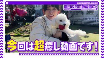 230324 [Healing] Members Played With Their Dogs At The Dog Run! [Naughty Dogs Rampage] – Nogizaka46 Sato Kaede, Ikeda Teresa, Tomisato Nao – FHD.mp4-00001