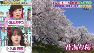 240405 Tokoro-san no Sokon Tokoro – ex-AKB48 Iriyama Anna – HD.mp4-00001