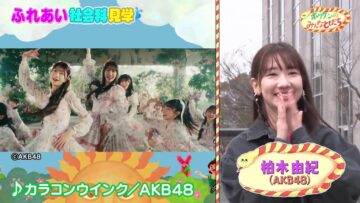 240415 Onegai! Ranking – AKB48 Kashiwagi Yuki – HD.mp4-00016