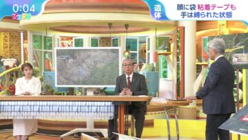 240417 Hiruobi – ex-AKB48 Takahashi Minami – HD.mp4-00001