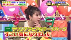 240421 Gaikoku Hito ga Gachi de Touhyou! Todoufuken Sousenkyo – ex-Hinatazaka46 Watanabe Miho – HD.mp4-00002