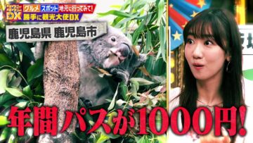 240516 DOWNTOWN DX – ex-AKB48 Kashiwagi Yuki – HD.mp4-00005