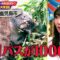 240516 DOWNTOWN DX – ex-AKB48 Kashiwagi Yuki – HD.mp4-00005