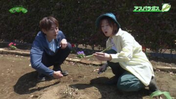 240519 Syumi no Engei Yasai no Jikan – ex-AKB48 Oya Shizuka – HD.mp4-00001