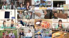 240525 Gururi Tokyo Edo Sanpo – Nogizaka46 Sakaguchi Tamami – HD.mp4