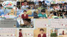 240531 Ijime wo Knock Out – ex-AKB48 Takahashi Minami – HD.mp4