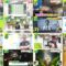 240531 DayDay. – ex-NMB48 Shibuya Nagisa – HD.mp4