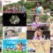240601 Gururi Tokyo Edo Sanpo – Nogizaka46 Sakaguchi Tamami – HD.mp4