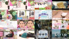 240601 Hiromi no Shuuketsu! Sugo Ude Charisma Buyers – ex-AKB48 Nishino Miki – HD.mp4