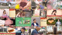 240608 Chan House – ex-Nogizaka46 Matsumura Sayuri – HD.mp4