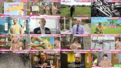 240608 Tokai Domannaka! – ex-SKE48 Suda Akari – HD.mp4