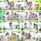 240619 DayDay. – ex-NMB48 Shibuya Nagisa Cut – FHD.mp4