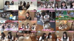 240705 AKB48 Kenkyuusei no WOW!!! 01 – HD.mp4