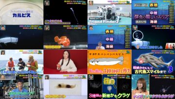 240707 Bakushou Mondai no Shinkai WANTED 10 – ex-Nogizaka46 Akimoto Manatsu – HD.mp4