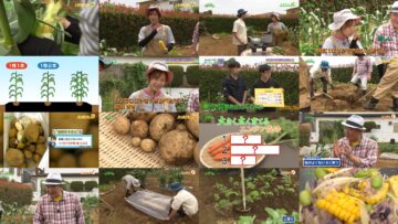 240707 Syumi no Engei Yasai no Jikan – ex-AKB48 Oya Shizuka – HD.mp4