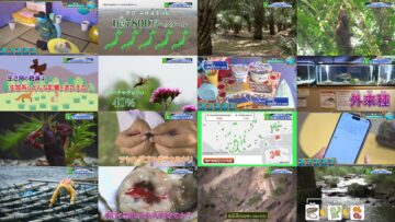 240715 Chikyuu wa Houchi Shitete Mo Sodatanai – ex-Nogizaka46 Ito Marika – HD.mp4