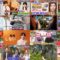 240716 Kazlaser to Manabu. – ex-AKB48 Muto Tomu – HD.mp4