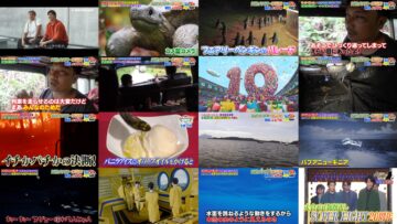 240728 Sekai Marumie! Dai Shizen Mystery Masterpiece Selection  – ex-NMB48 Shibuya Nagisa – HD.mp4