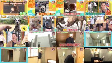 240810 Doyou wa Dameyo! – NMB48 Abe Wakana, Sakata Misaki – HD.mp4