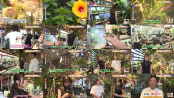 240823 Chiba Asa Live Morning Compass – ex-AKB48 Yoshikawa Nanase Cut – HD.mp4