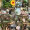240823 Chiba Asa Live Morning Compass – ex-AKB48 Yoshikawa Nanase Cut – HD.mp4