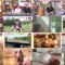 240824 Doyou wa Dameyo! – NMB48 Abe Wakana, Sakata Misaki – HD.mp4