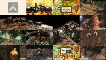 240824 Monosugoi Zukan 5min Edition [Beetle] – ex-AKB48 Kawaei Rina [Narration] – HD.mp4