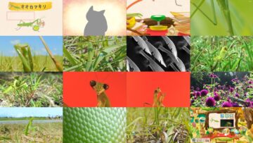 240824 Monosugoi Zukan 5min Edition [Praying Mantis] – ex-AKB48 Kawaei Rina [Narration] – HD.mp4